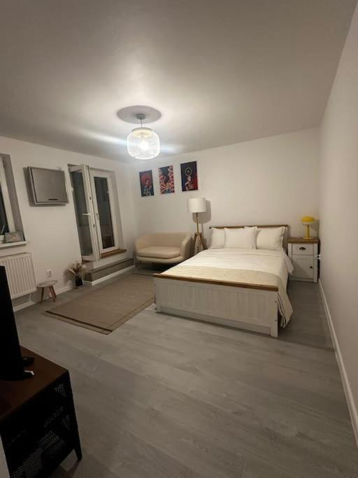 Studio Cozy Piata Victoriei Apartment Bucureşti Exterior foto