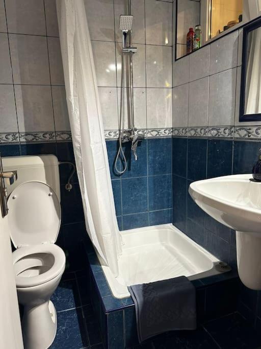 Studio Cozy Piata Victoriei Apartment Bucureşti Exterior foto